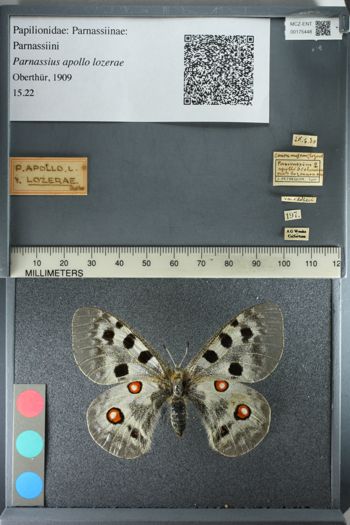 Media type: image;   Entomology 175448